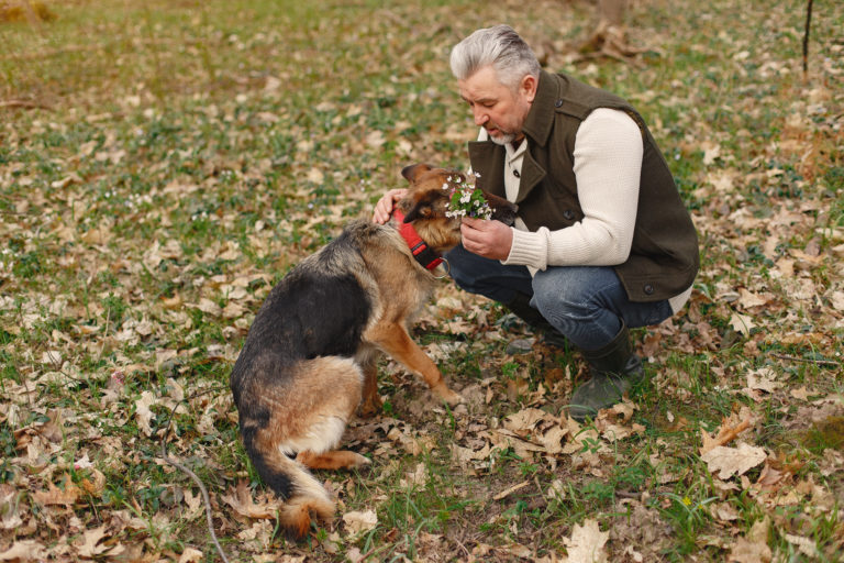 Qué puede hacer para proteger a sus seres queridos de los ataques de perros