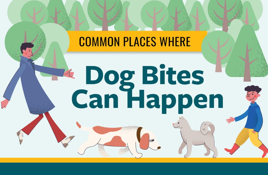 Lugares habituales donde pueden producirse mordeduras de perro